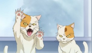 BCEpi9AzusaTsubakicats